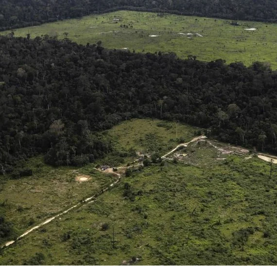 Desmatamento de junho de 2021 confirma pior semestre na Amazônia