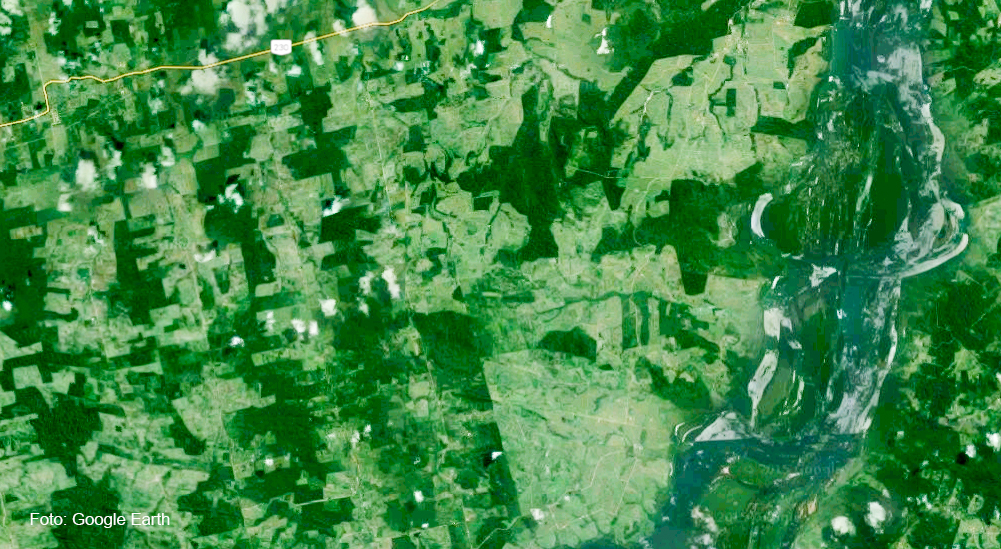 Imagem de satélite mostra desmatamento entre a rodovia Transamazônica e o rio Xingu. Crédito: Google Earth