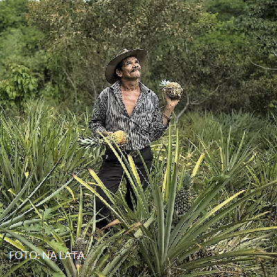 FOTO: NA LATA (PROIBIDA A REPRODUÇÃO)