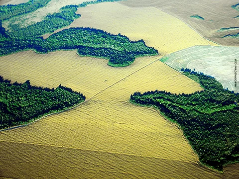 Estados ganham guia para implantação do Programa de Regularização Ambiental
