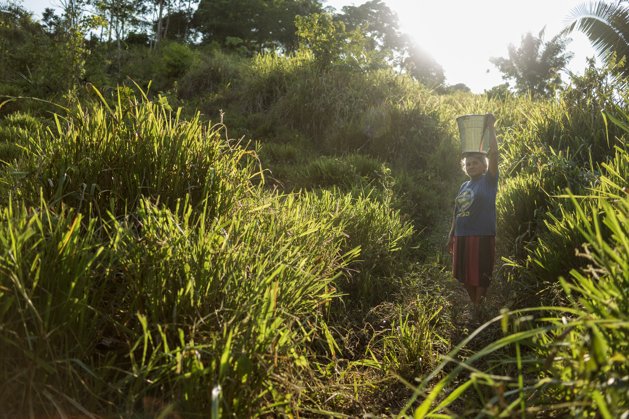 Study proves Bolsa Verde’s results in reducing deforestation