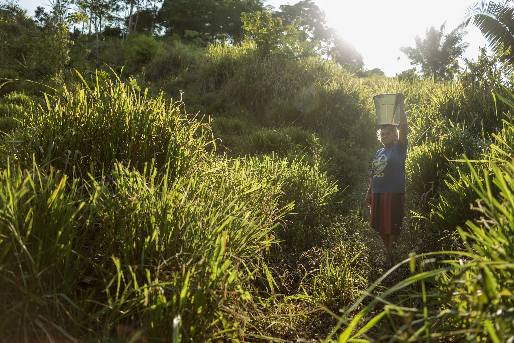 Study proves Bolsa Verde’s results in reducing deforestation