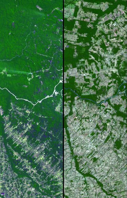 Floresta é derrubada na Amazônia. Foto: JPL/Nasa