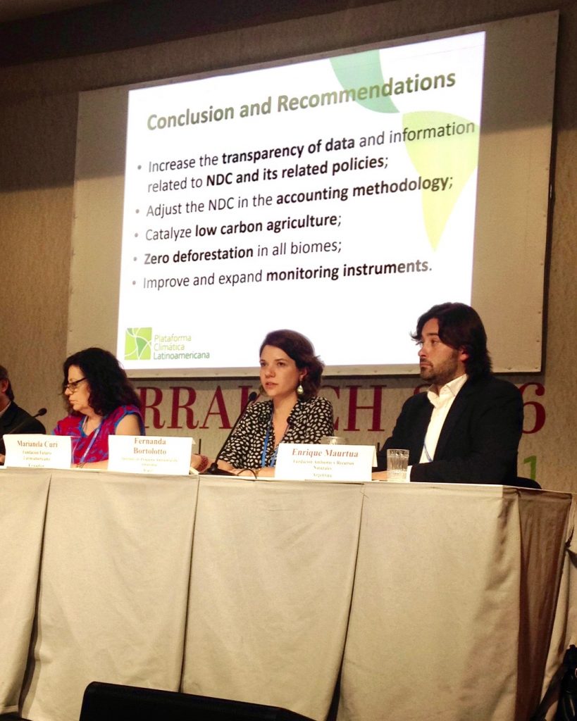 Pesquisadora do IPAM explica necessidade de mais ambição brasileira no controle das mudanças climáticas. Foto: IPAM