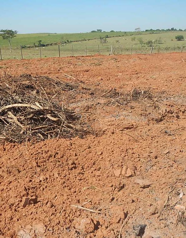 Área devastada no oeste de SP. Foto: Polícia Militar Ambiental de SP