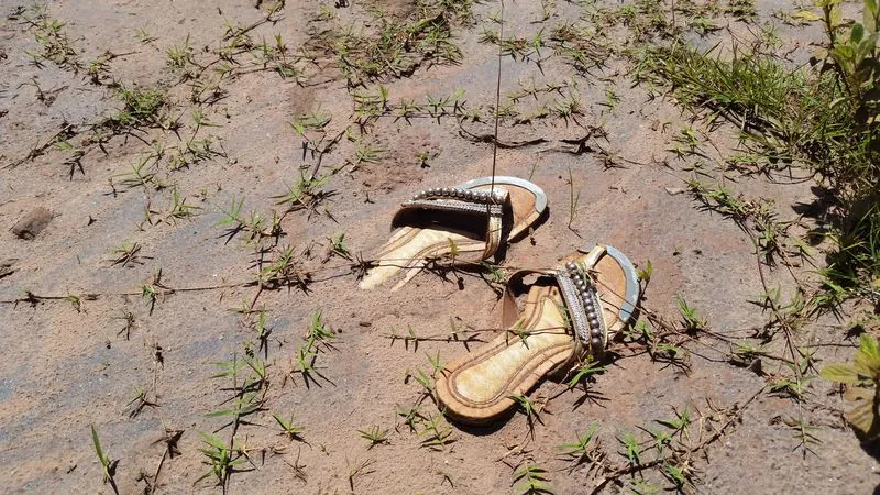 Deputados e Casa Civil querem afrouxar licenciamento ambiental