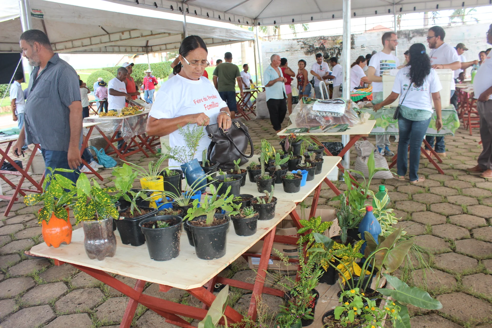 Produtores familiares participam da 1° feira da produção familiar em Anapu (PA)