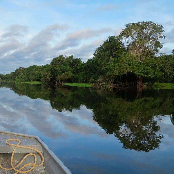 Pacto pela restauração da Amazônia brasileira é lançado em Belém