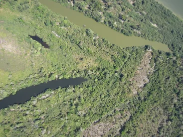Matas ciliares ajudam a manter fertilizantes fora dos rios, afirmam cientistas