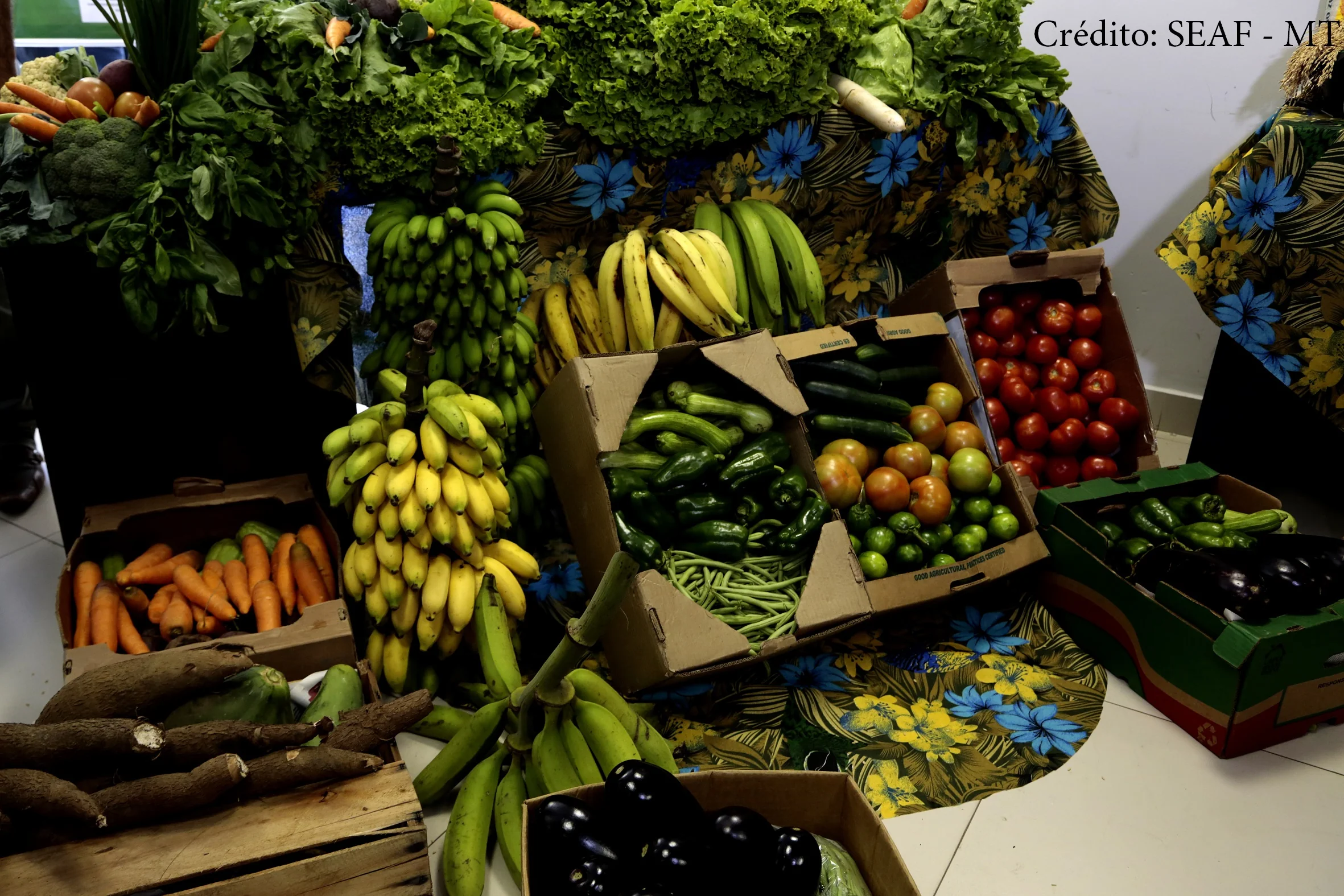 Política de agricultura familiar é elaborada de forma participativa em MT