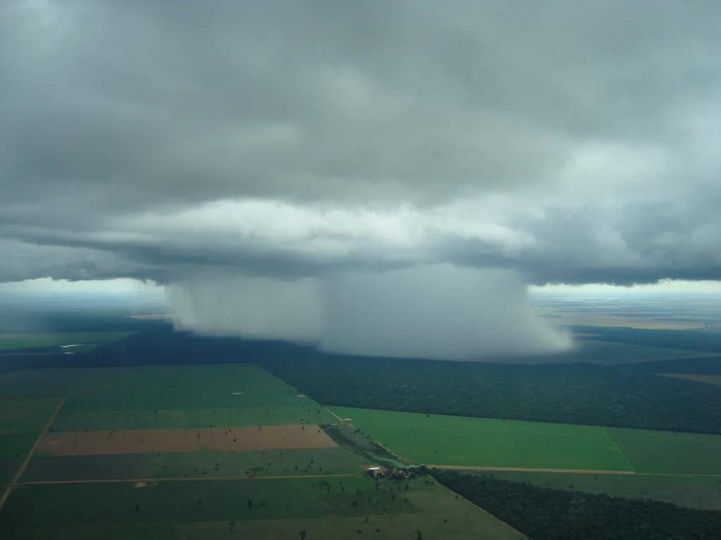 Unprotecting 1 million hectares is not good business for agriculture