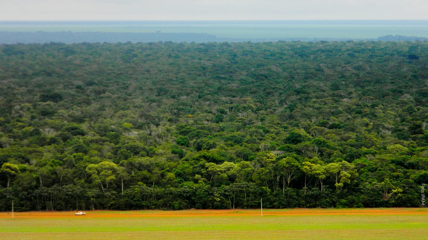 Políticas de controle do desmate dependem da fatia do agronegócio no PIB