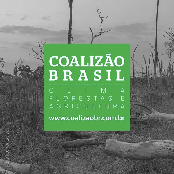 Desmatamento e redução de unidades de conservação comprometem o Brasil
