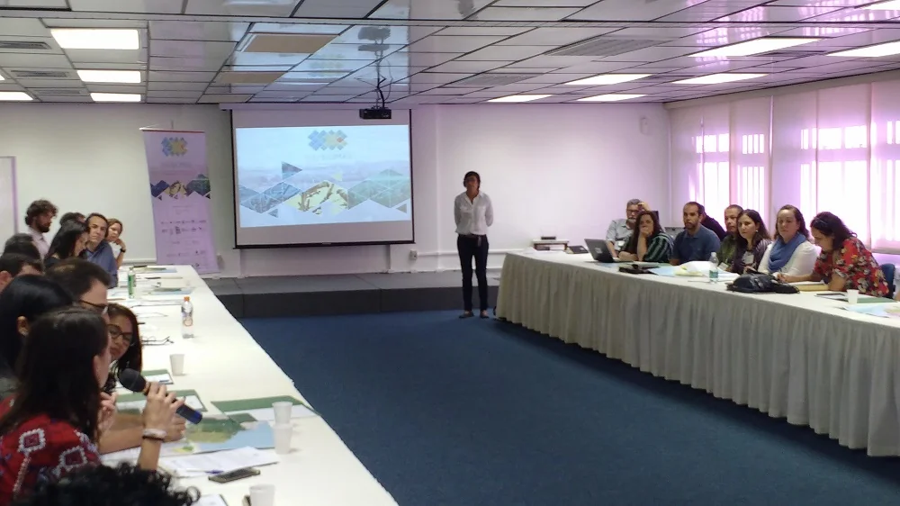 Pesquisadores do cerrado refinam metodologia do MapBiomas para 2018