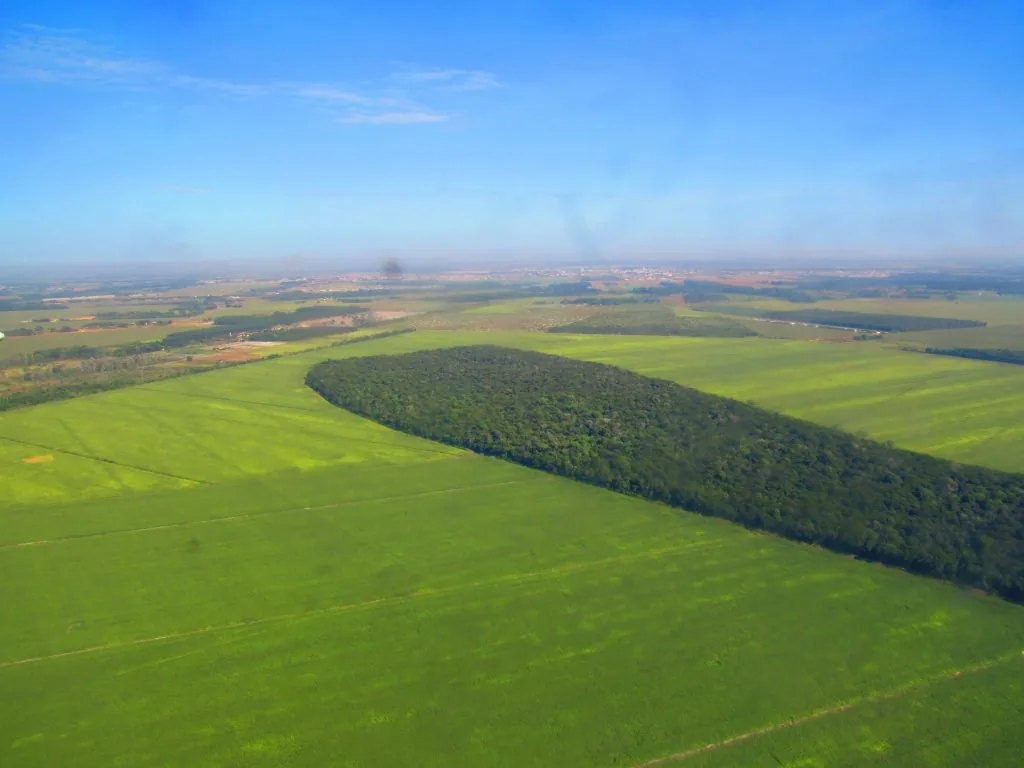 Área de fazenda em MT. Foto: Cristina Amorim/IPAM