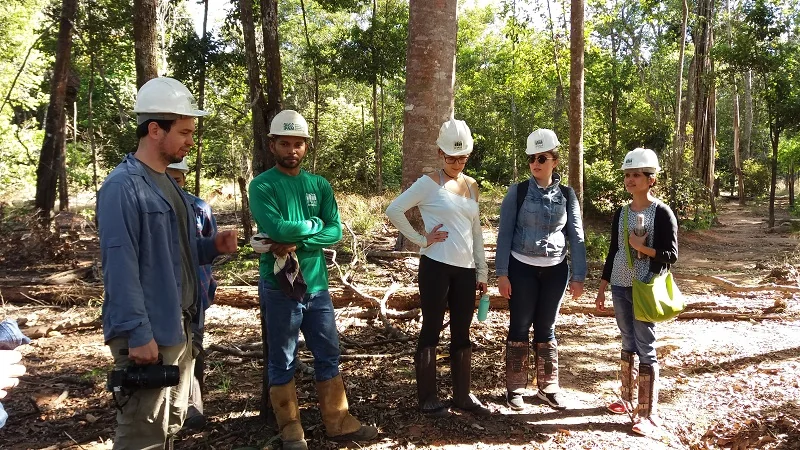 Estudantes analisam incentivos econômicos do Código Florestal