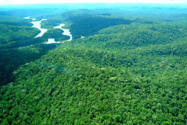 Abolição de reserva na Amazônia afeta animais em extinção e terras indígenas