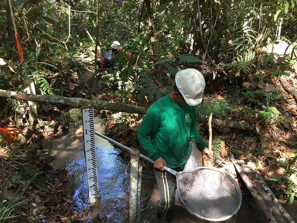 Como a mudança do uso da terra impacta em riachos de cabeceira?
