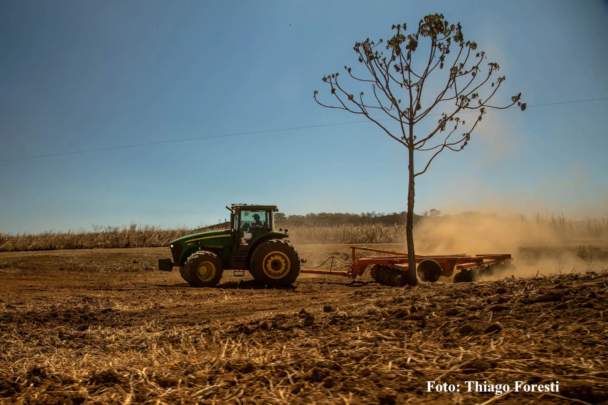 Empresas internacionais apoiam o desmatamento zero no Cerrado