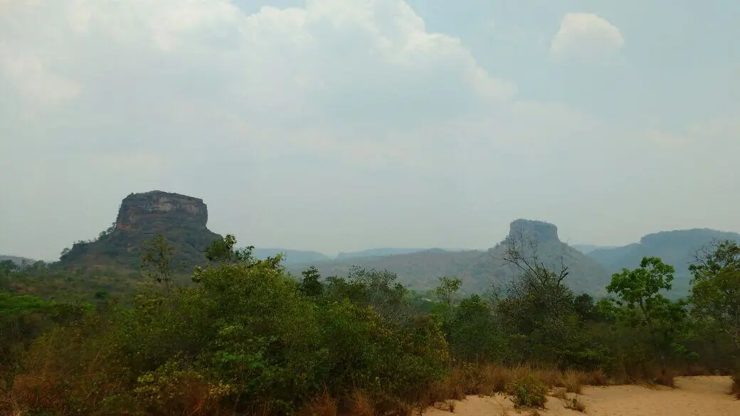 Na fronteira do Cerrado com a Amazônia, a realidade dos impactos da soja