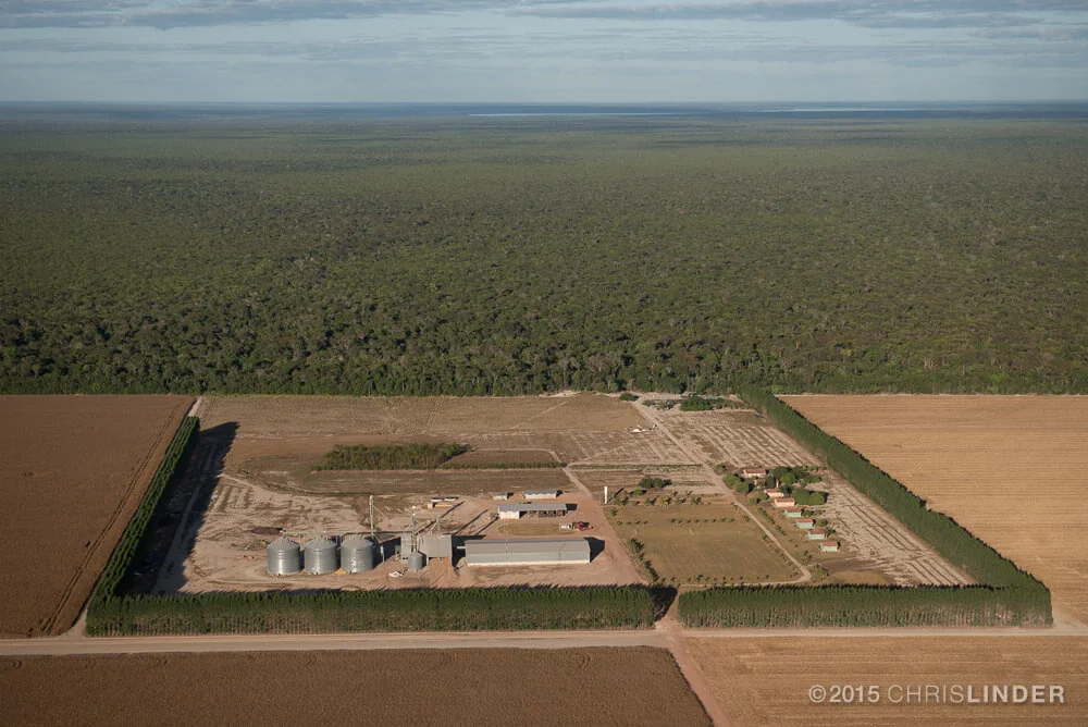 Artigo de opinião: Índices de sustentabilidade e cadeia de valor