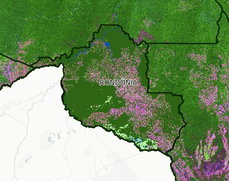 Carta aberta em defesa da criação de 11 unidades de conservação em Rondônia