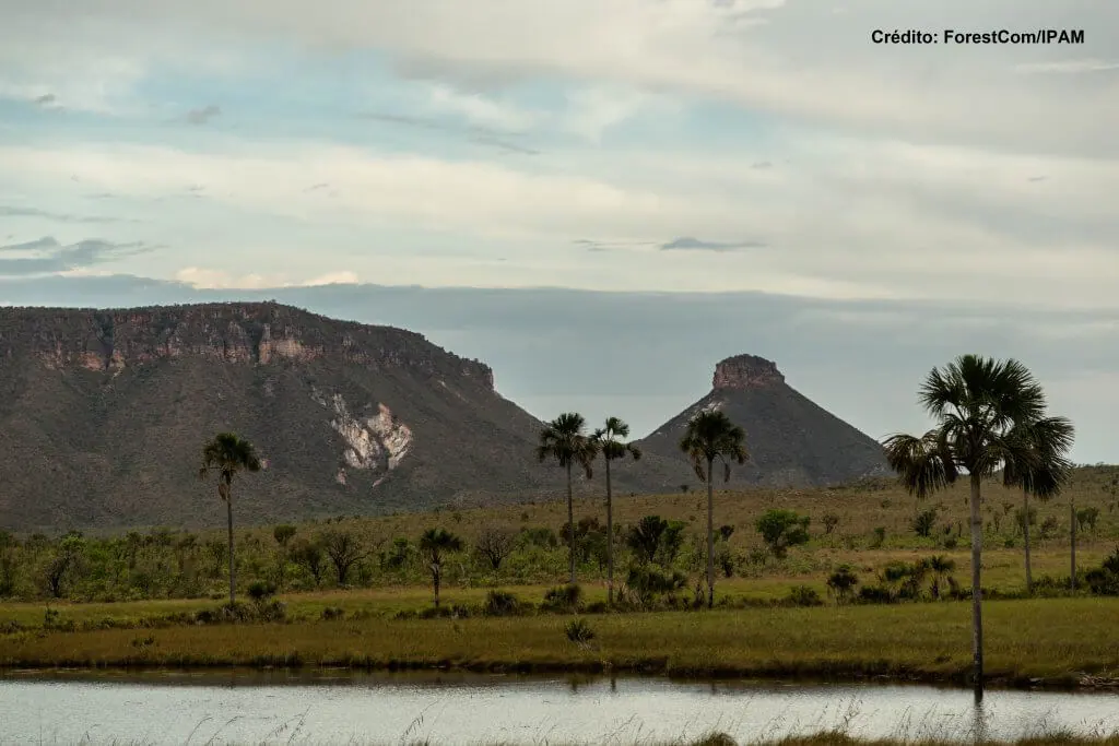 Expedição Matopiba