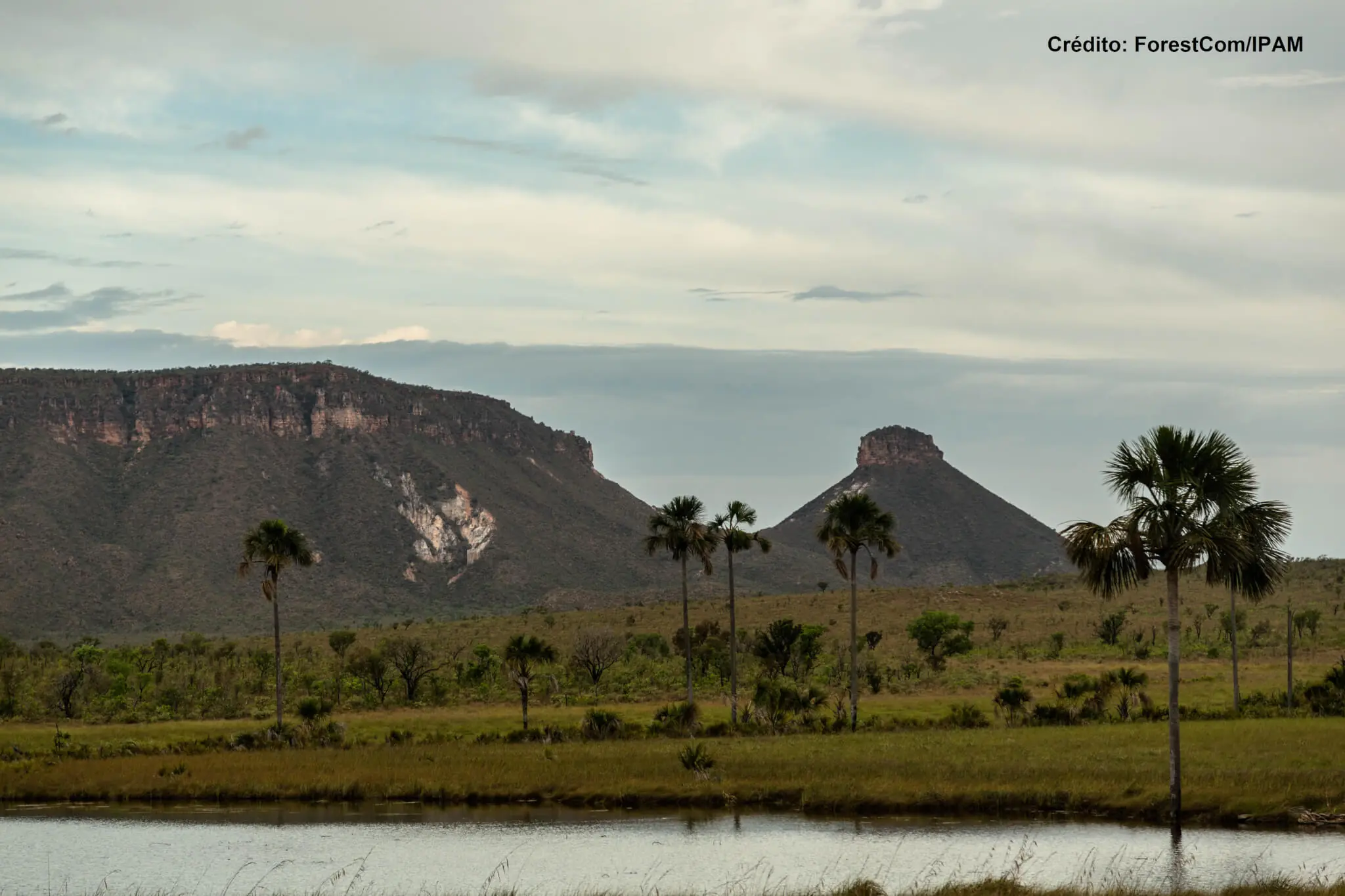 Seminário debate documento sobre Cerrado para os presidenciáveis