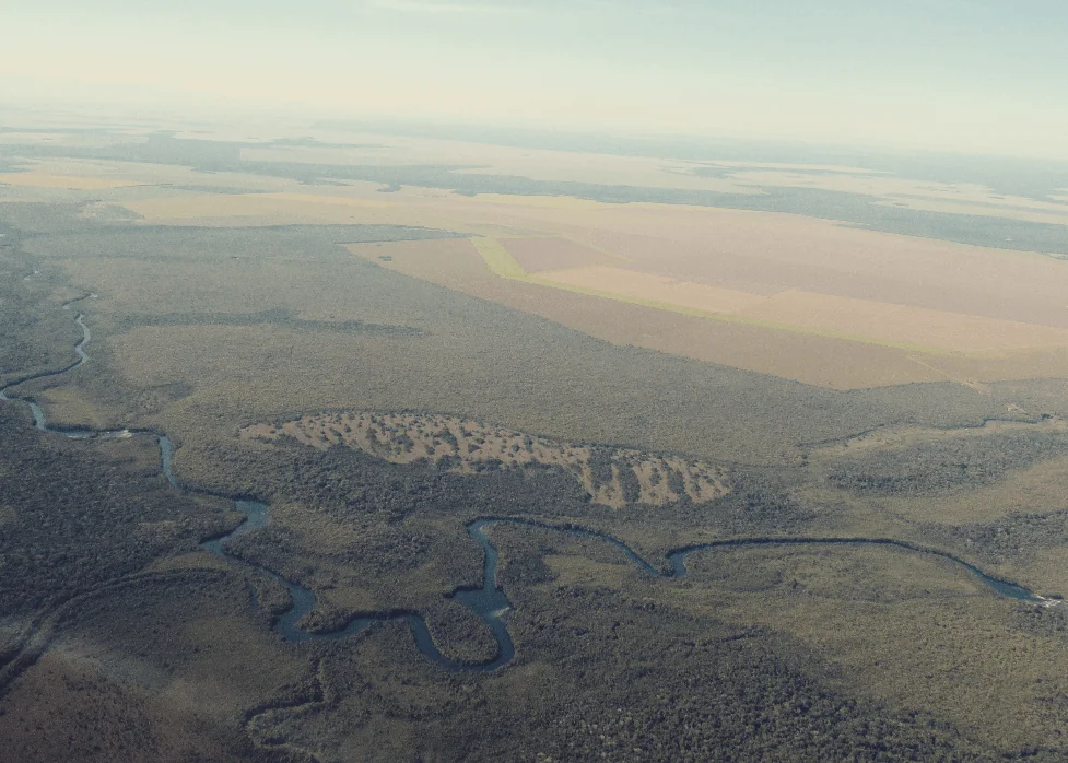 Farmers in the Amazonian State of Mato Grosso may be paid to not deforest