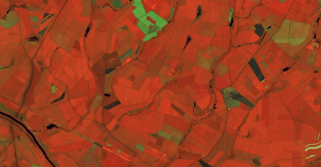 Imagem de satélite mostra agricultura perene em solo brasileiro.