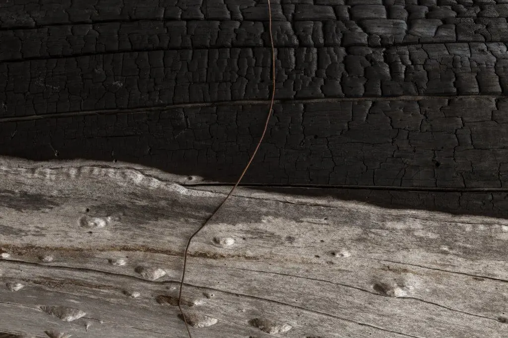 Colaboradores e parceiros do Instituto de Pesquisas da Amazonia atuam na floresta amazonica, em Canarana, no Mato Grosso, em 18 de agosto de 2014. (Foto: Na Lata)