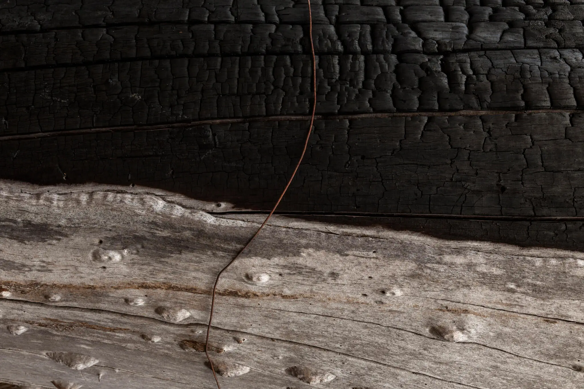 Sobre o anúncio de fusão entre Ministérios do Meio Ambiente e da Agricultura