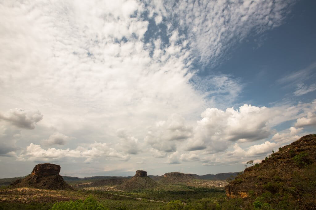 Visão do Cerrado. Foto: Thiago Foresti/IPAM