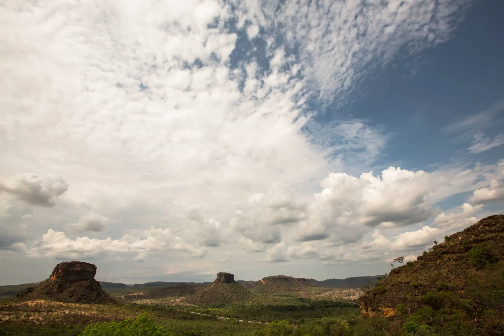 Desmatamento no Cerrado emitiu 7 bi de gases do efeito estufa em 15 anos