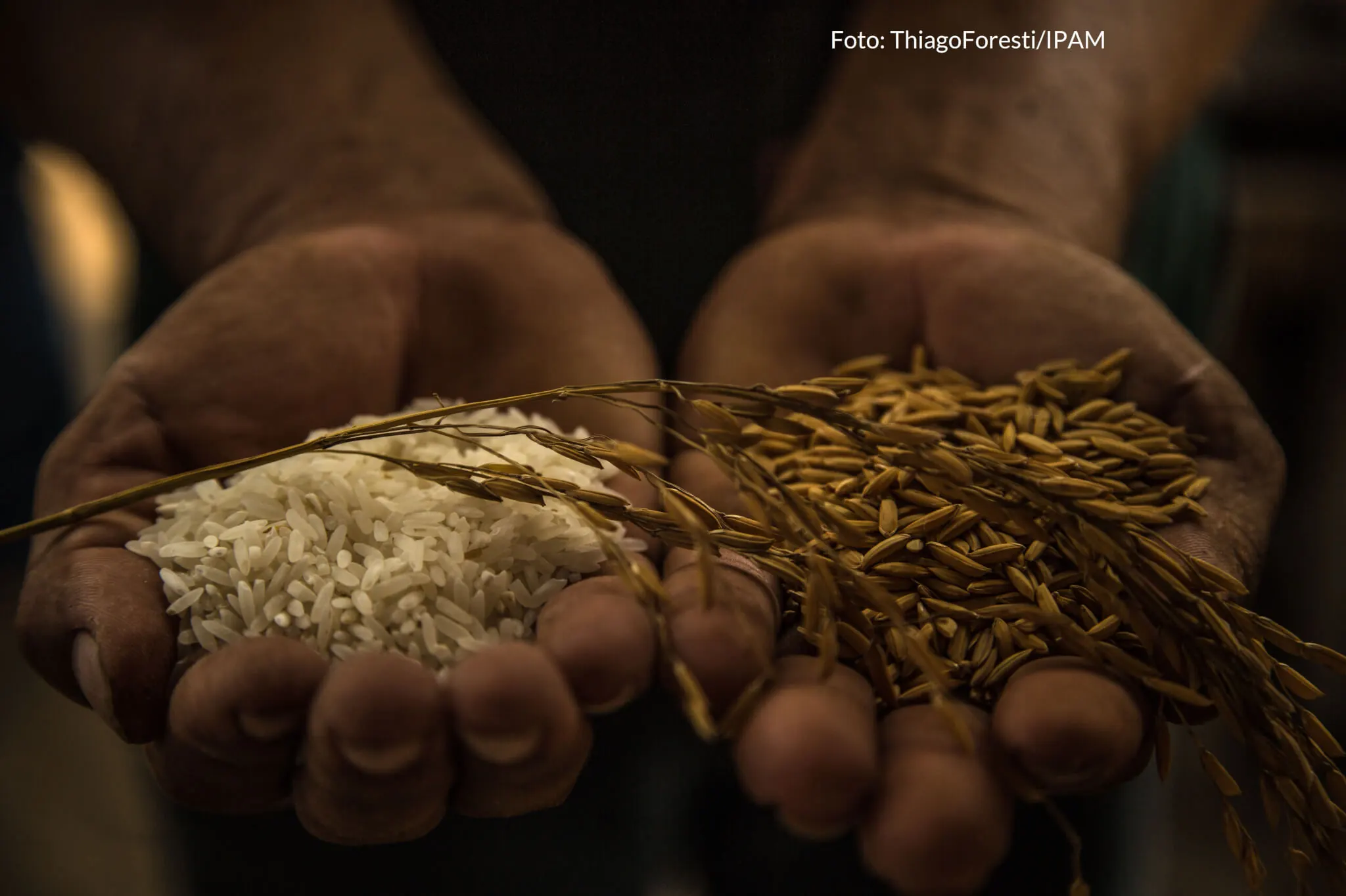 Projeto PAS do IPAM ganha prêmio Hugo Werneck de sustentabilidade