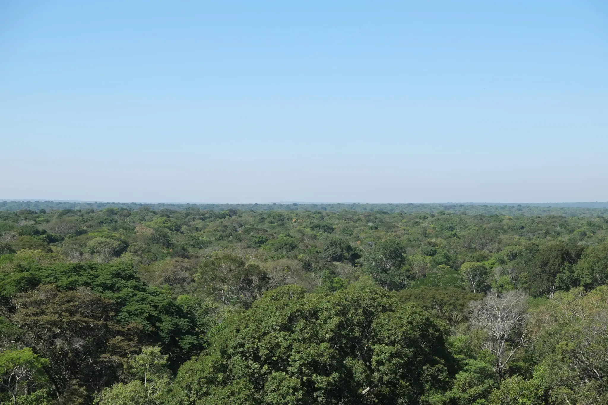 Proposta de alteração no Código Florestal ameaça biomas e economia