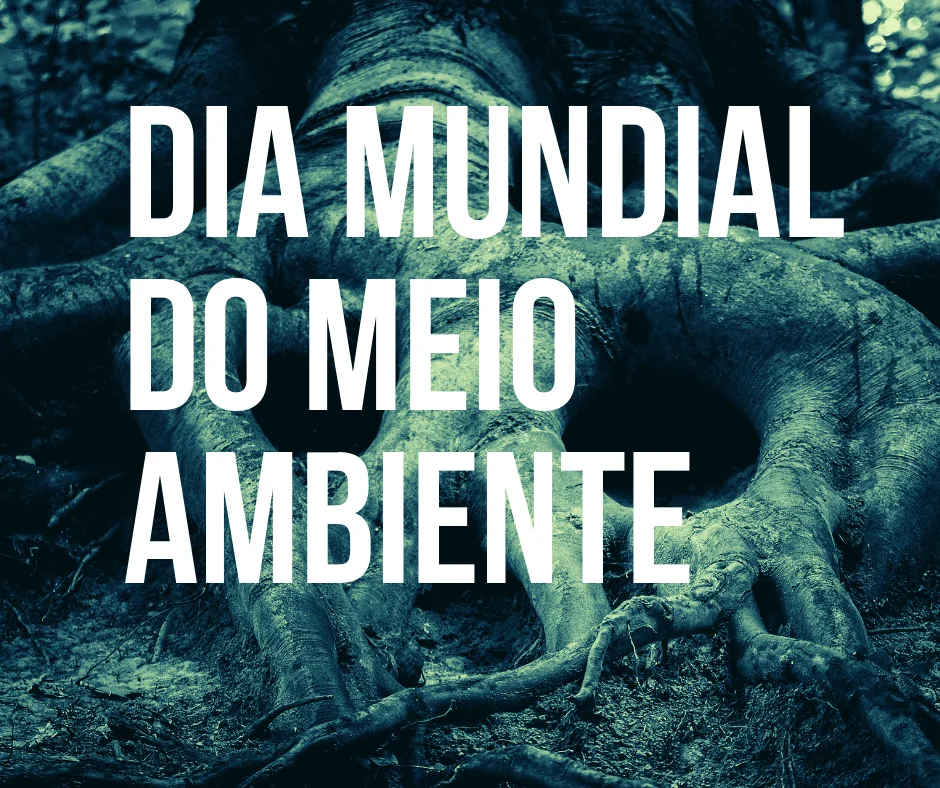 Semana do Meio Ambiente: confira nossa programação na Amazônia