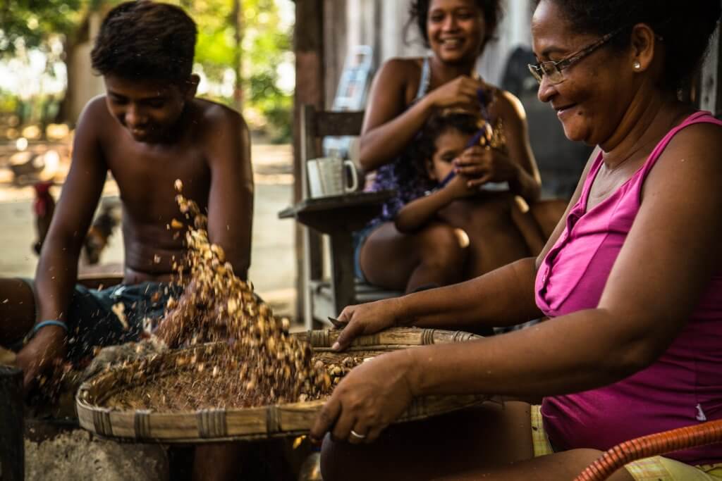 Família de assentados processa castanhas artesanalmente no Pará. Foto: Thiago Foresti/IPAM