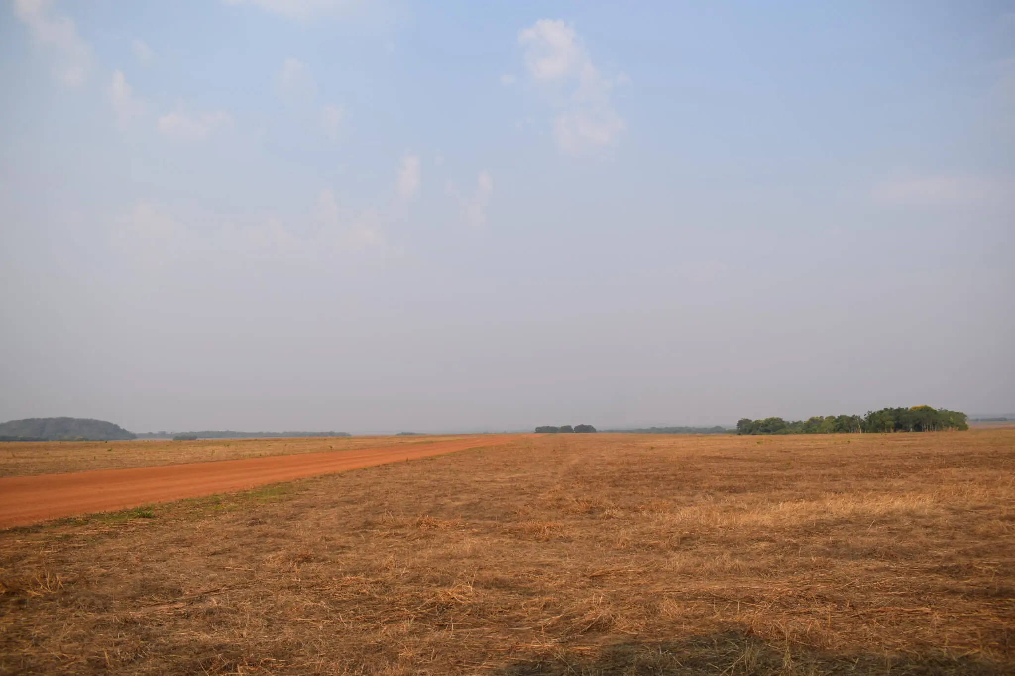 Brasil perdeu 89 milhões de hectares de vegetação natural nos últimos 34 anos