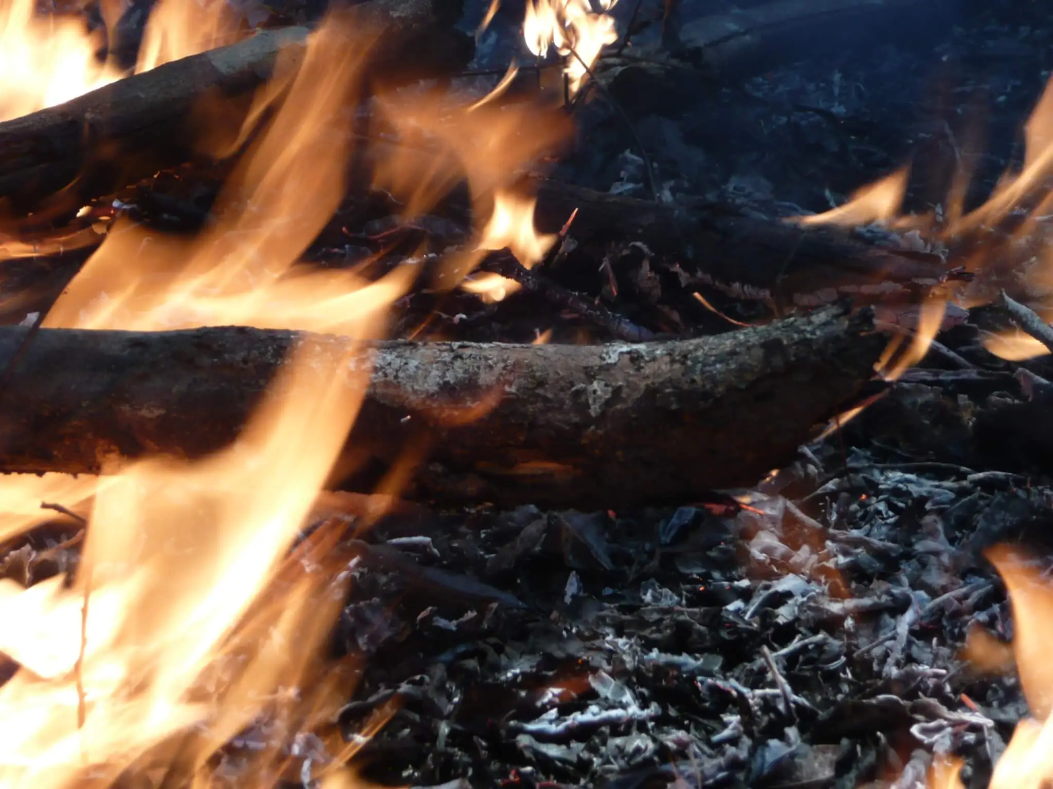 Deforestation – not the dry season – responsible for Amazon burning in 2019