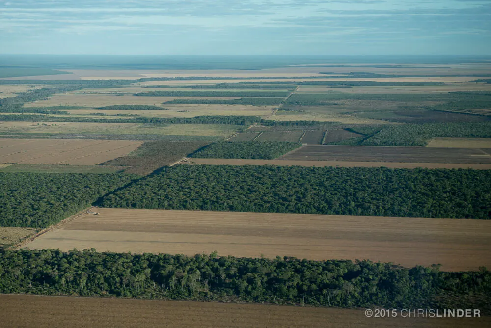 Relatório sobre uso da terra indica oportunidades e responsabilidade para o país