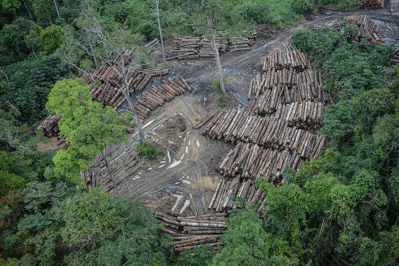 Amazon deforestation rate in 2019 puts Brazil at stake in the climate debate