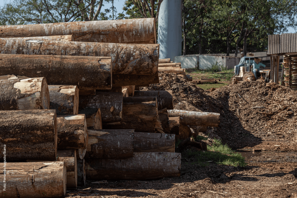 Ibama, Exército e Polícia Militar de Rondônia fiscalizam cadeia de custódia da madeira e desmatamento ilegal em Espigão do Oeste (RO)