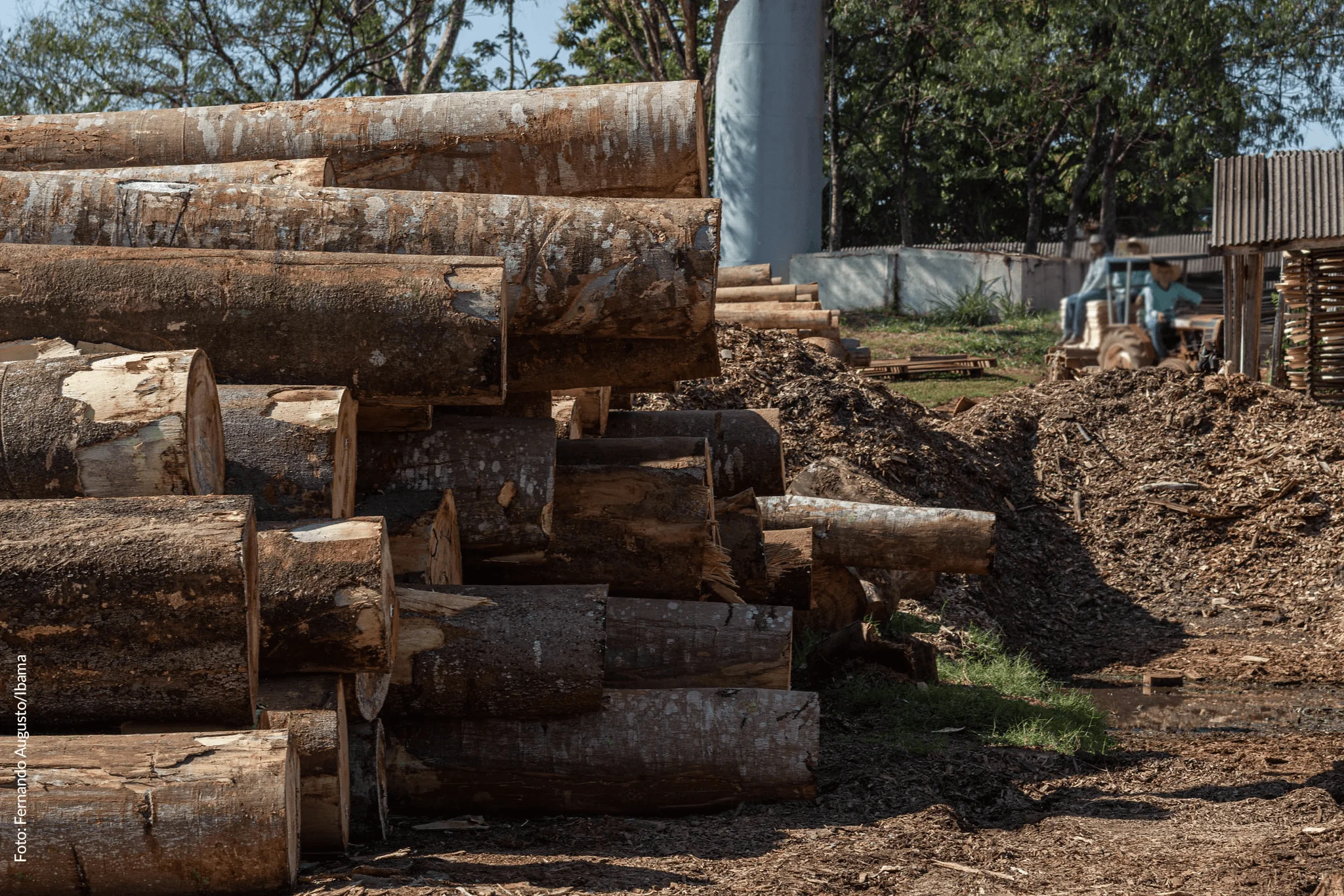 País tem emissões estáveis em 2018; desmatamento cresceu na Amazônia