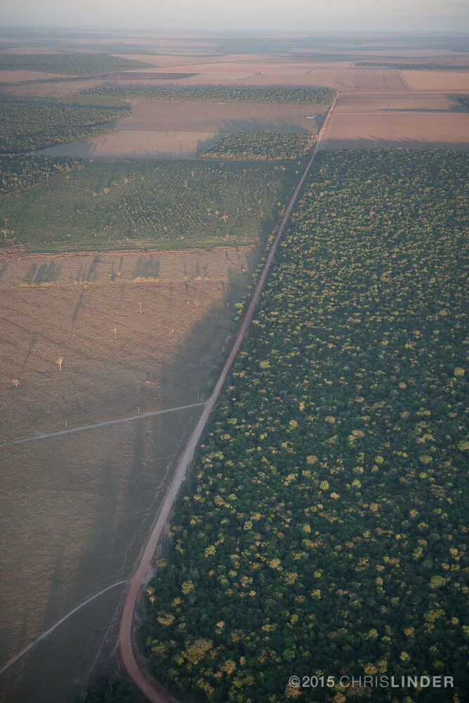Melhor uso da terra na Amazônia reduz derrubadas e gera mais ganhos