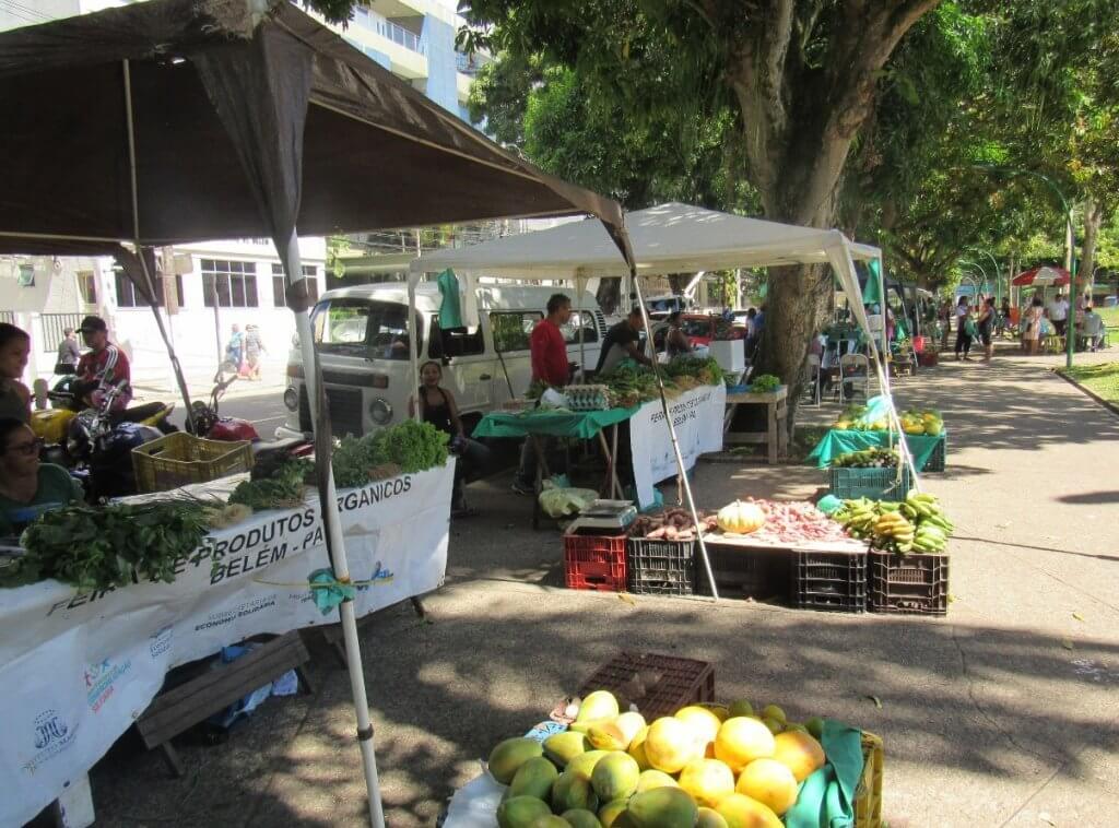 Estudo avalia perfil de 16 feiras orgânicas e agroecológicas em quatro capitais amazônicas. Crédito: Divulgação/Consórcio EcoConsult/IPAM