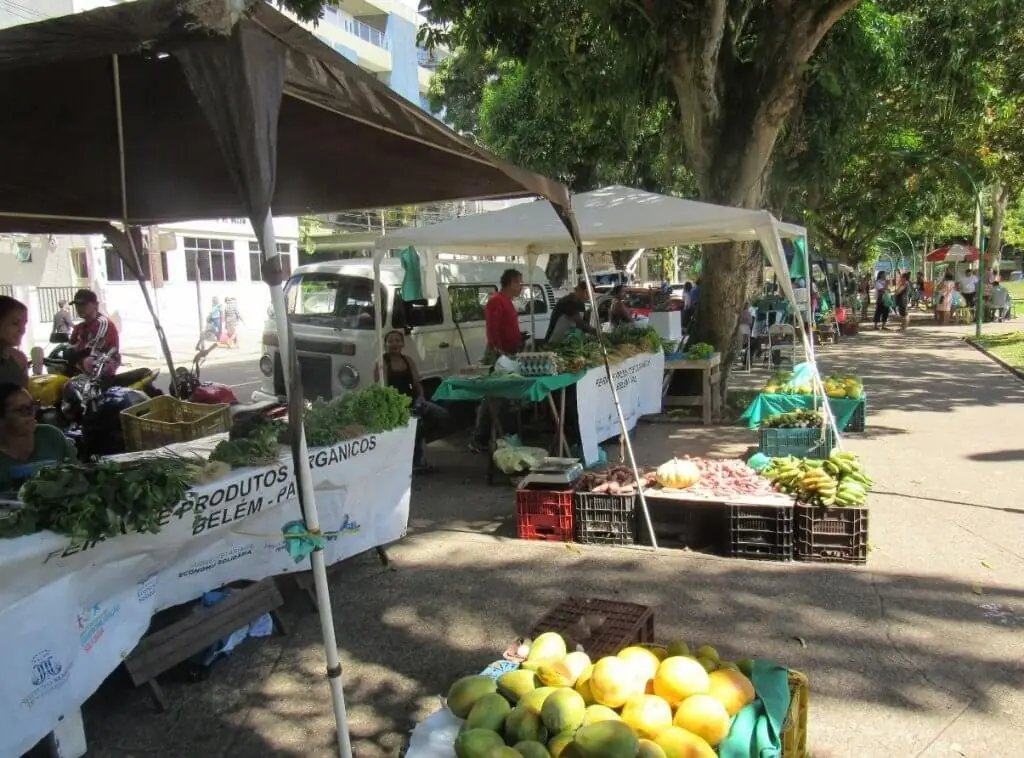 Estudo avalia perfil de 16 feiras orgânicas e agroecológicas em quatro capitais amazônicas. Crédito: Divulgação/Consórcio EcoConsult/IPAM