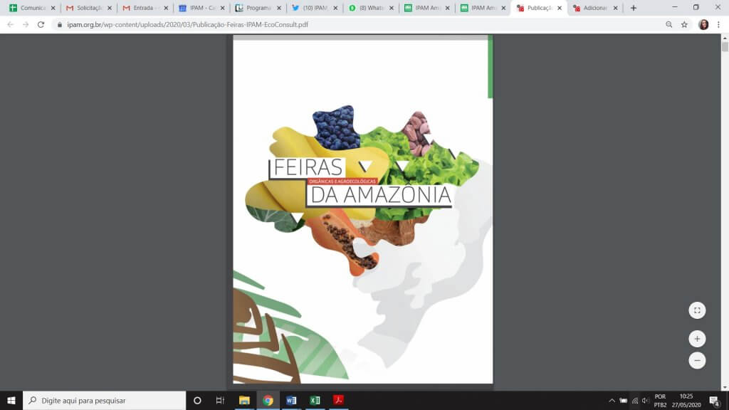 Publicação Feiras da Amazônia