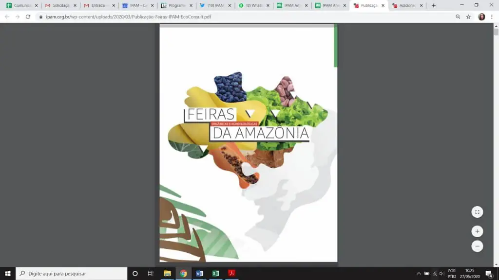 Publicação Feiras da Amazônia