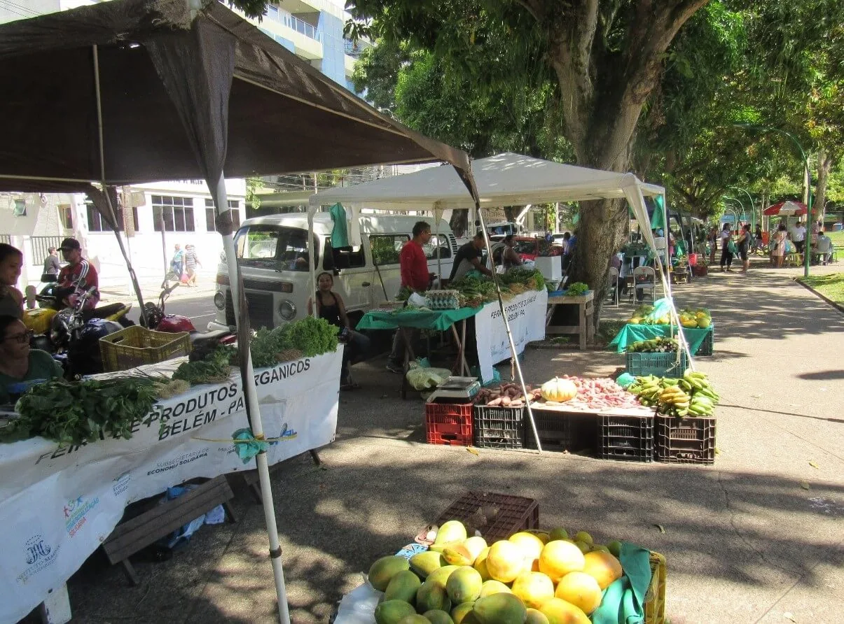 Feiras como estratégia de fortalecimento da produção na agricultura familiar